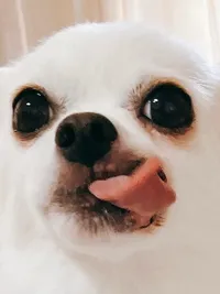 てらうちたかしのアイコン